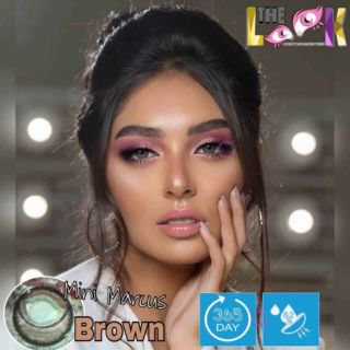 CONTACT LENS MÀU BROWN - NÂU DẠ KHÚC - GIÃN NHẸ - CÓ VIỀN ĐEN - CÓ ĐỘ