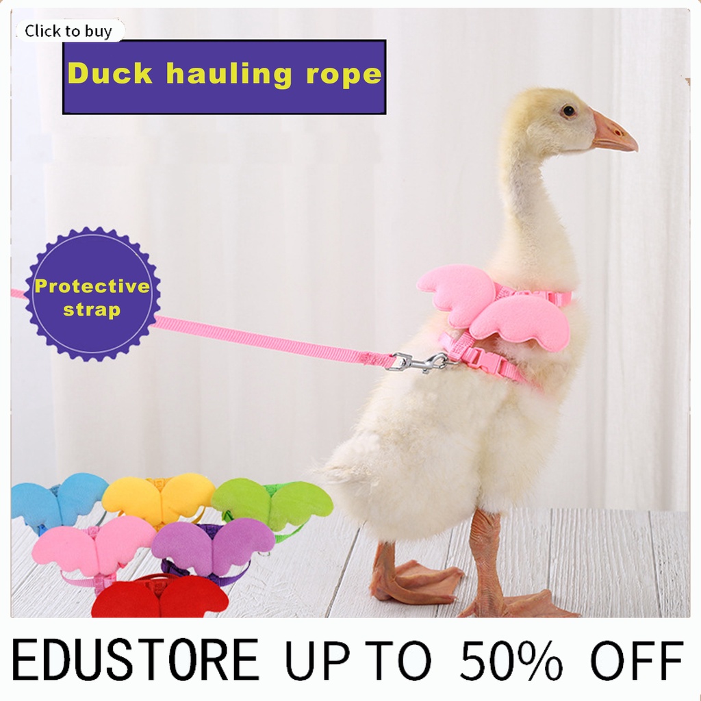 Dây dắt vịt/ thú cưng vịt màu sắc đơn giản dễ thương