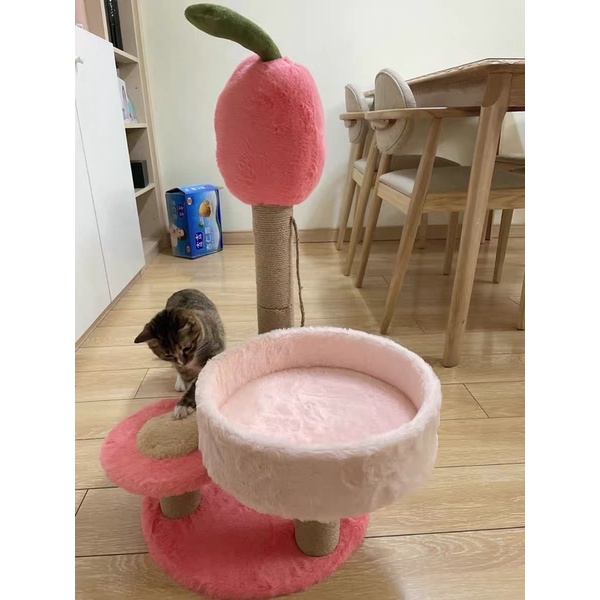 Cattree cho Mèo đáng yêu💕 Ảnh khách feedback cực xinh xắn