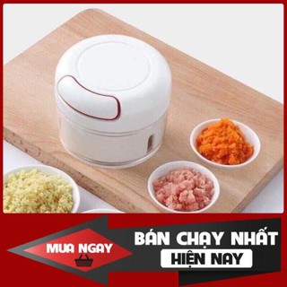 Máy xay sinh tố hành tỏi thịt mini cầm tay thông minh tốt nhất