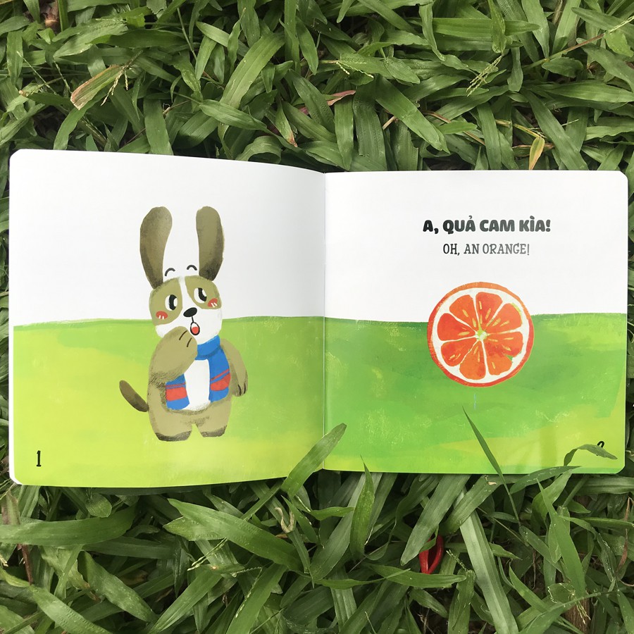 Sách - Ehon Nhận Biết - Cái Gì Thế Nhỉ? Combo 4 quyển, lẻ tùy chọn
