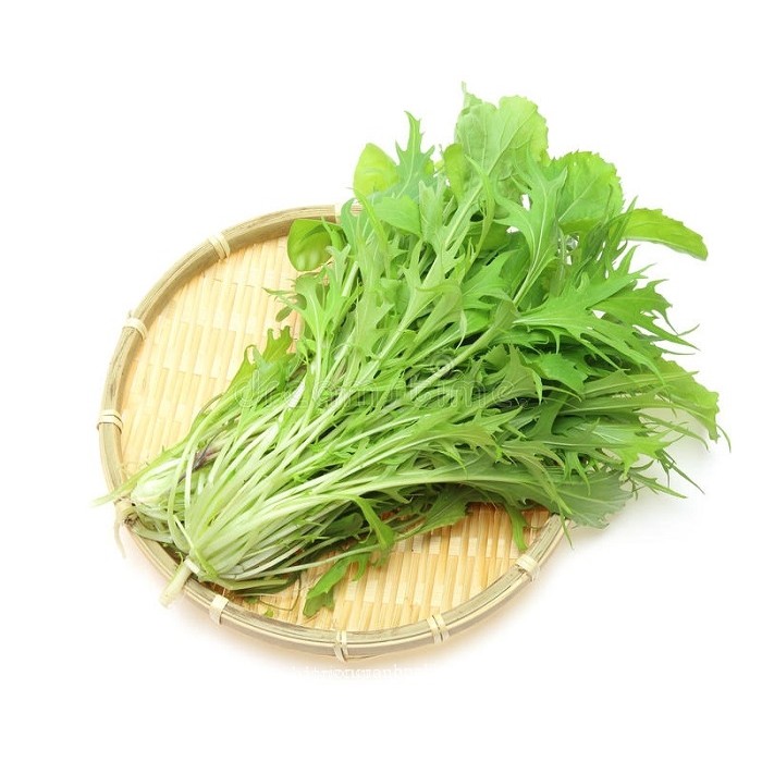 Hạt giống Rau mù tạt MIZUKI TN 110