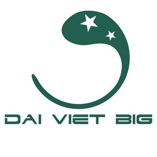 ĐAIVIETBIG