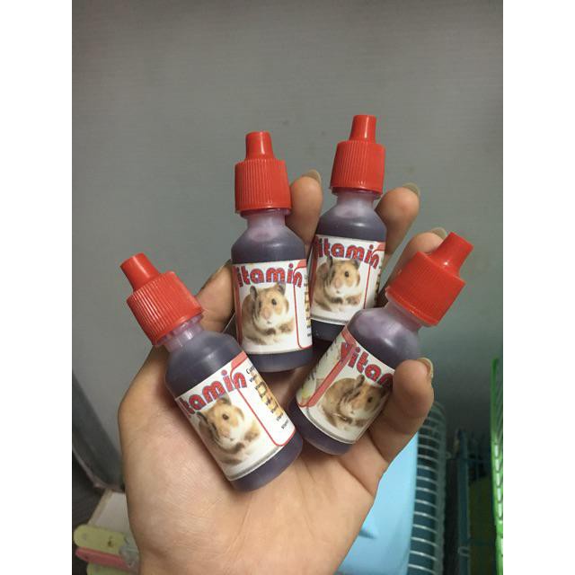 Vitamin Tiêu Hóa Cho Chuột Hamster