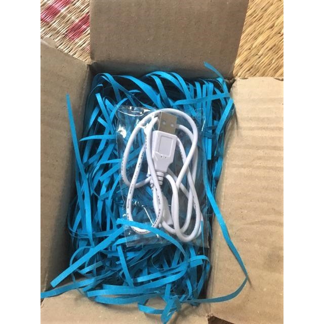 Dây sạc chuyên cho máy rửa mặt Foreo ,Halio .