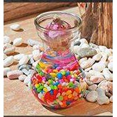 BÌNH TRỒNG THỦY SINH,HÀNH TÂY, TIÊN ÔNG MIỆNG LOE