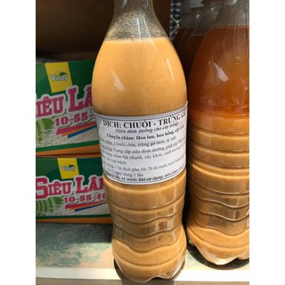 Dịch chuối - trứng gà bón hoa hồng siêu mầm, siêu nụ