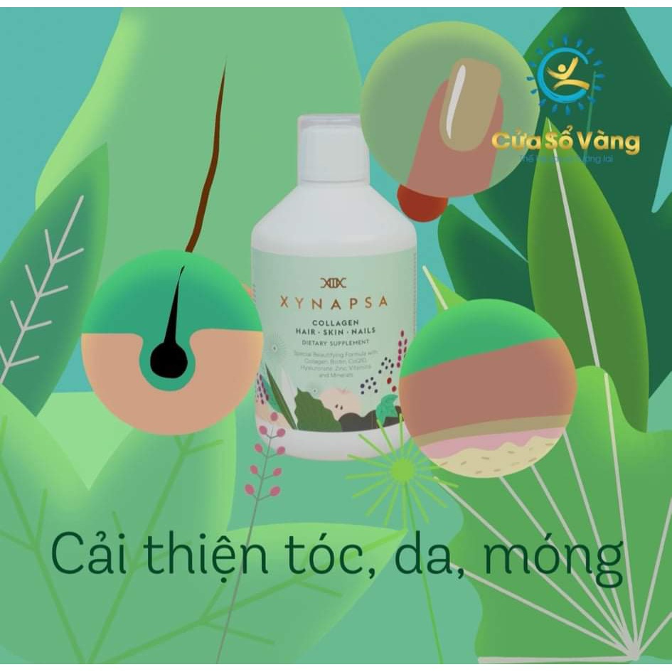 Xynapsa Da Tóc Móng - Hỗ Trợ Bổ Sung Vitamil Giúp Da, Tóc, Móng Khỏe Mạnh