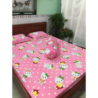 Bộ ga vỏ gối thun hàn quốc 1m2*2m