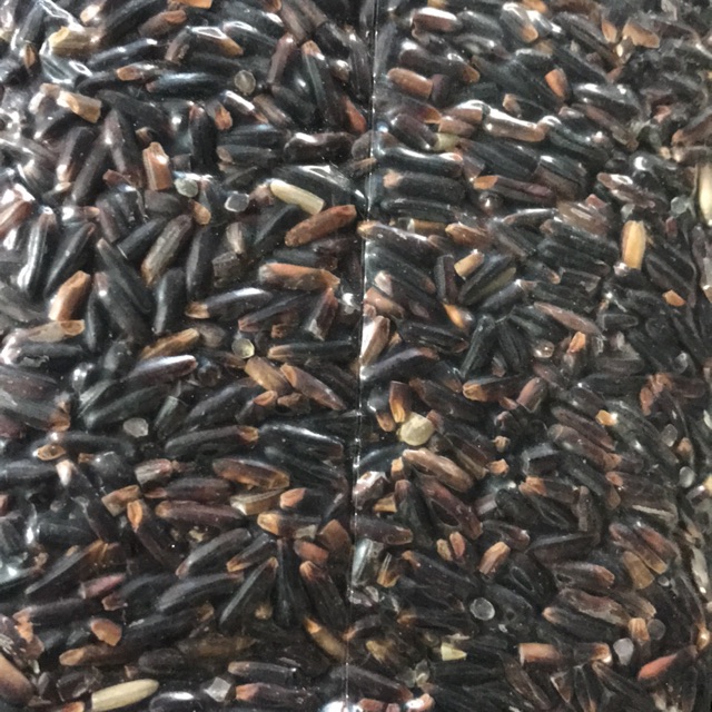 Gạo lứt đen sạch tại Hà Nội