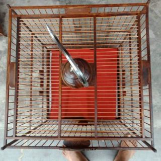 Lồng chim lá đề