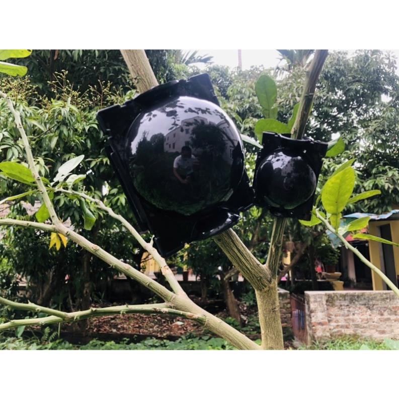 Bầu chiết cành cao cấp đủ kích thước, tăng khả năng ra rễ, chống úng cành chiết, tái sử dụng trên 5 năm