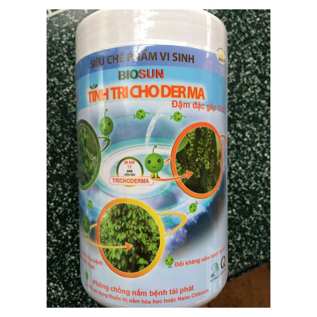 TINH TRICHODERMA PHÒNG NẤM PHYTOPHTHORA