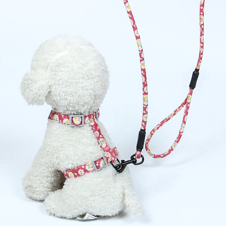 Dây Đeo Cổ Thú Cưng Đi Dạo Tiện Lợi
