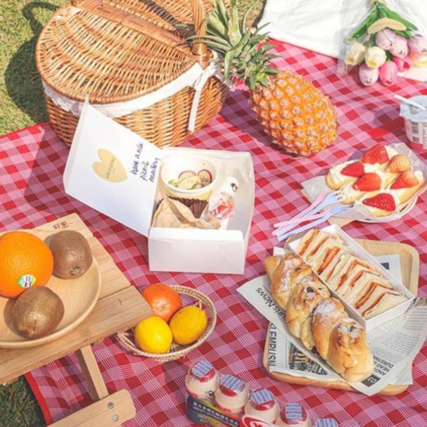 THẢM DÃ NGOẠI,  THẢM DU LỊCH, THẢM PICNIC CAO CẤP - Chống thấm nước, họa tiết caro, gấp gọn tiện lợi - 2 kích thước