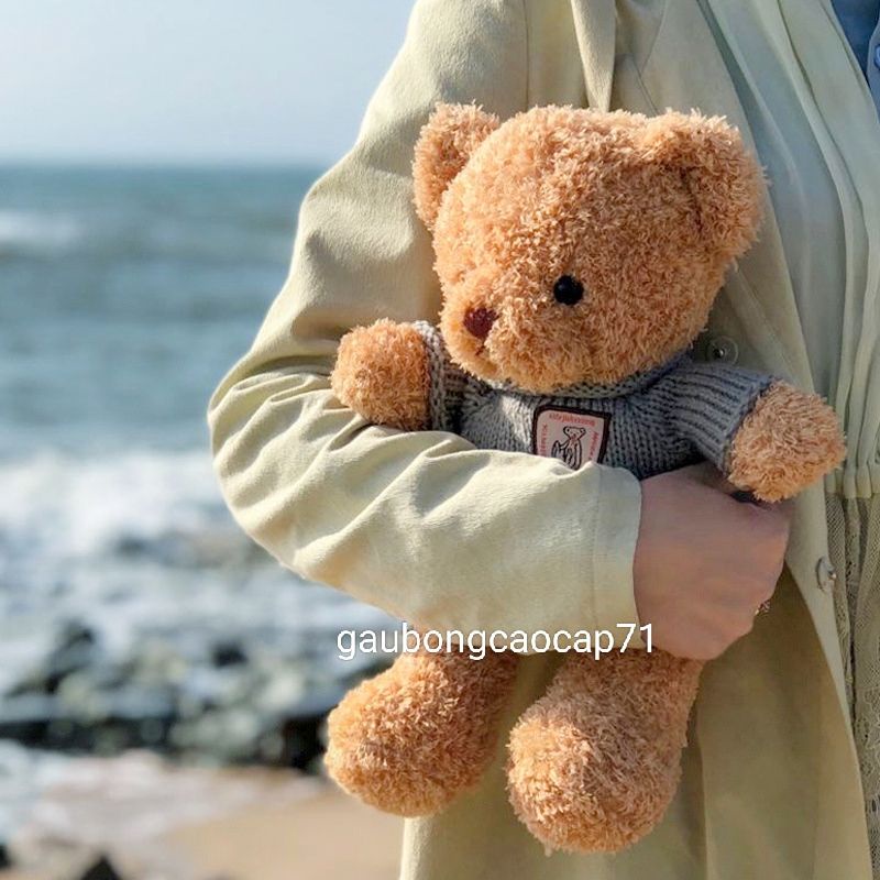 35cm 50cm GẤU BÔNG 𝐂𝐀𝐎 𝐂𝐀̂́𝐏 Teddy mặt áo len - Đồ Chơi Nhồi Bông Ms5
