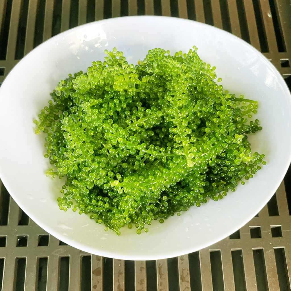 Rong Nho Tách Nước Phúc Vinh gói 25gr Ăn Liền Thơm Ngon Giòn Giòn - Hàng Loại 1 | BigBuy360 - bigbuy360.vn