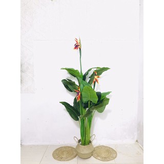 Cây thiên điểu giả trang trí 120cm