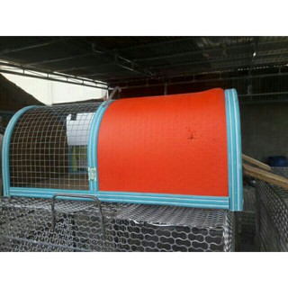 Lồng Bắt Chuột Thông Minh Size Trung  20cm-45cm