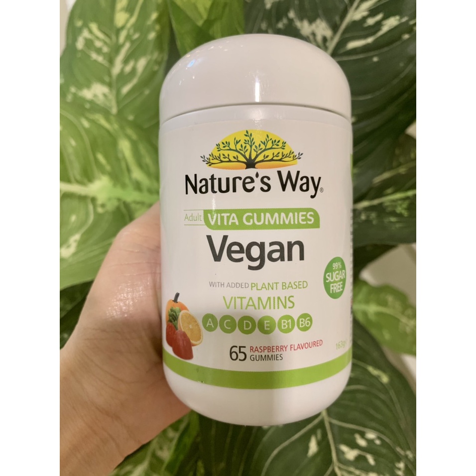 Kẹo bổ sung Vitamin Nature's Way Adult Vita Gummies VEGAN 65 viên hương Raspberry | Shopee Việt Nam