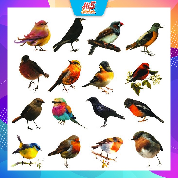 Sticker bộ sưu tập chim Cực COOL ms#247