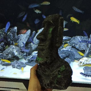 Tượng MOAI đảo phục sinh