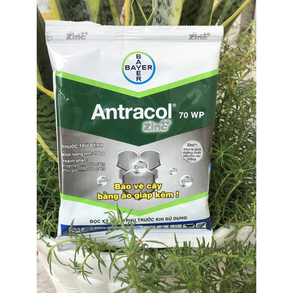 Antracol 70WP thuốc trừ bệnh cây trồng. Gói 100g