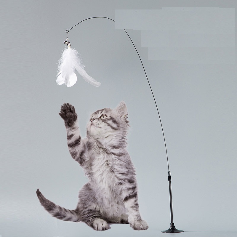 Đồ chơi cần câu dây thép cho mèo kèm hít cố định