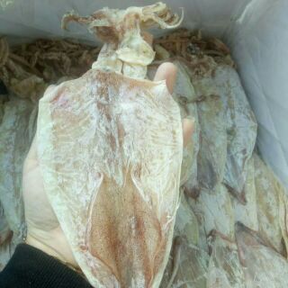 Mực khô giá 550k 0.5 kg