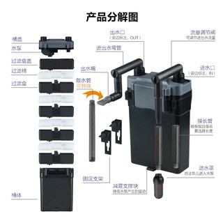 Bể Cá Hình Trụ