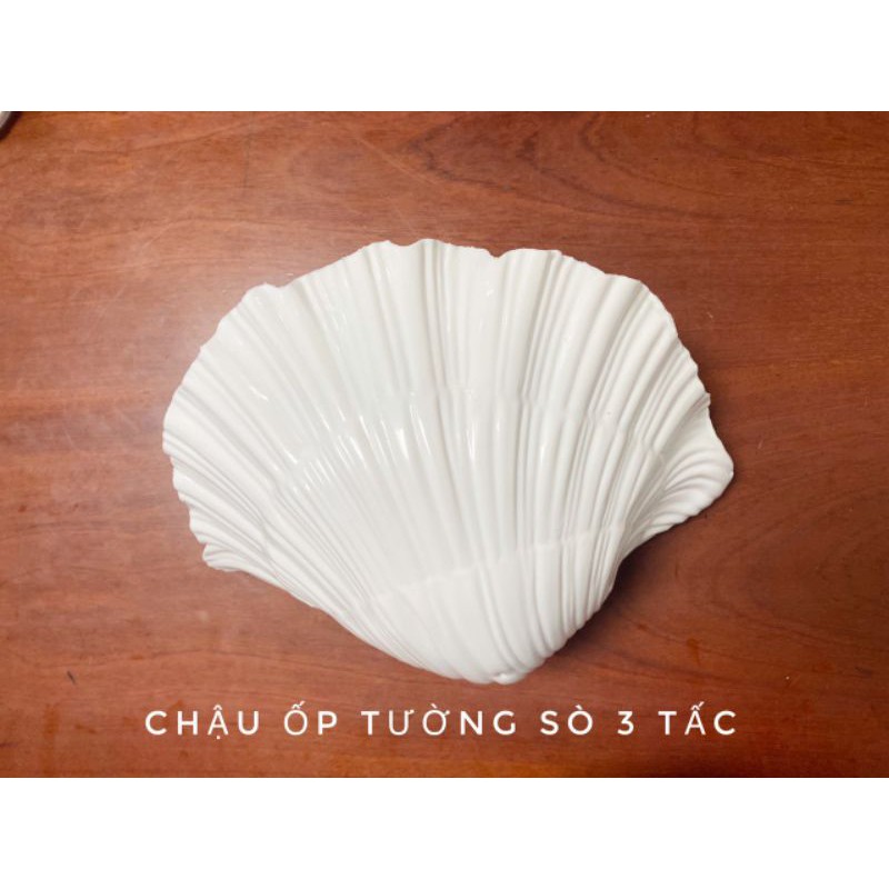 chậu ốp tường áp tường treo tường trồng cây hình sò 3 tấc (kt 30x16x11cm)