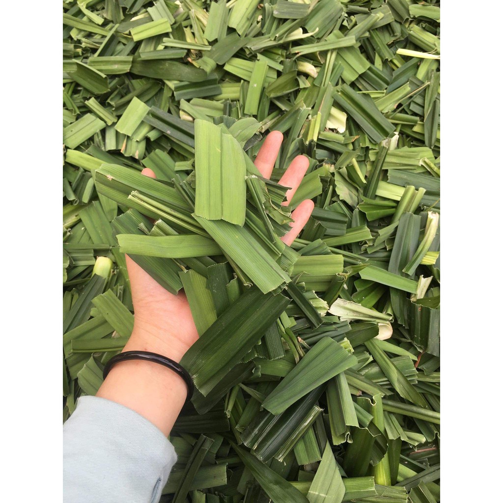 Lá dứa sấy khô gói 100g | BigBuy360 - bigbuy360.vn