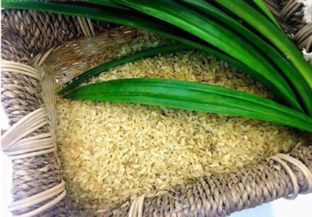 ĐẶC SẢN TÂY BẮC: GẠO KHẨU HANG (gạo đặc sản làm từ lúa nếp non tú lệ yên bái)