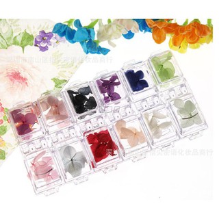 Hoa Khô Cánh To Làm Nail Trang Trí Siêu đẹp