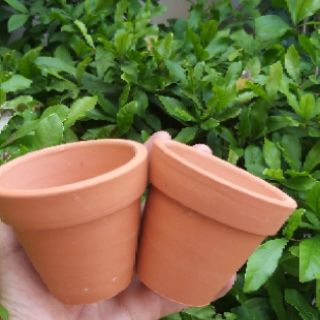 Chậu mini cao trung 8cm×7cm