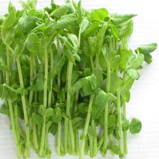50Gram Hạt Mầm đậu Hà Lan