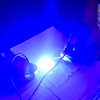 Mắt led pha 36v 50w ( màu xanh dương)