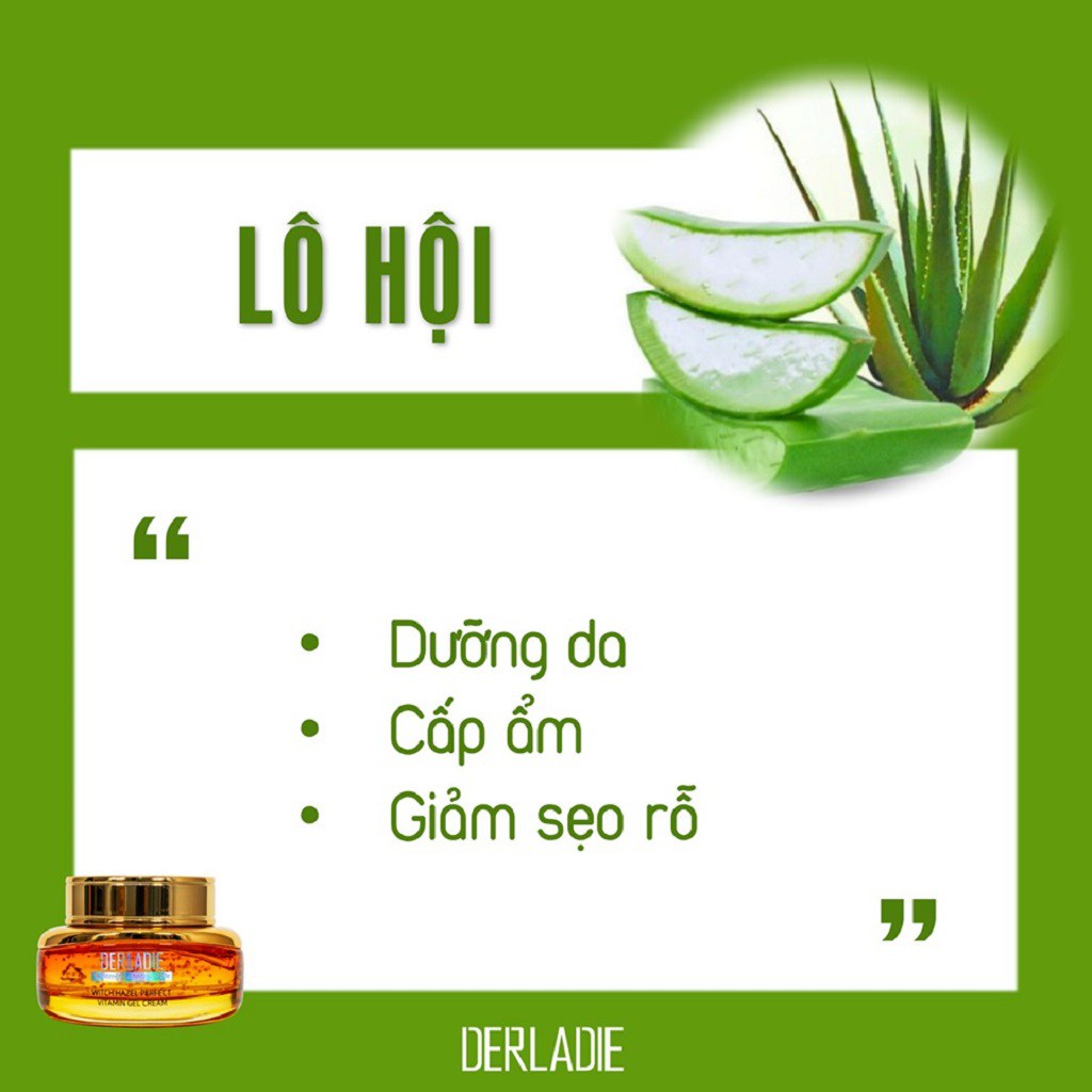 Gel Dưỡng Ẩm Chăm Sóc Da Mụn, Mờ Thâm, Sẹo Derladie Witch Hazel Perfect Vitamin 55ML