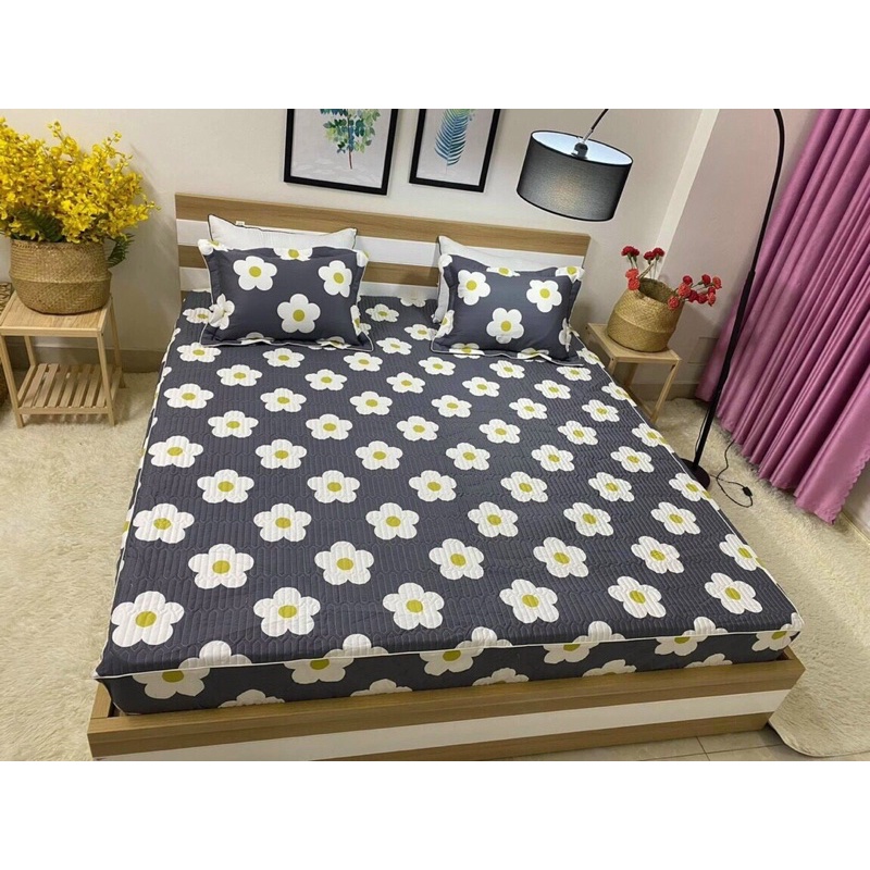 Ga gối cotton