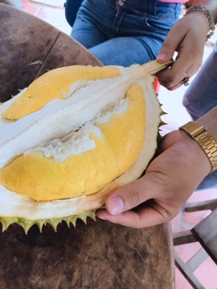 CANXI BO - SIÊU ĐẬU TRÁI