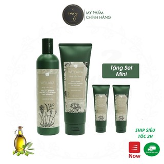 Combo dầu gội xả gừng weilaiya hà thủ ô weilaiya gừng nâu ngăn rụng tóc kích mọc tóc weilaiya chính hãng - tặng set mini