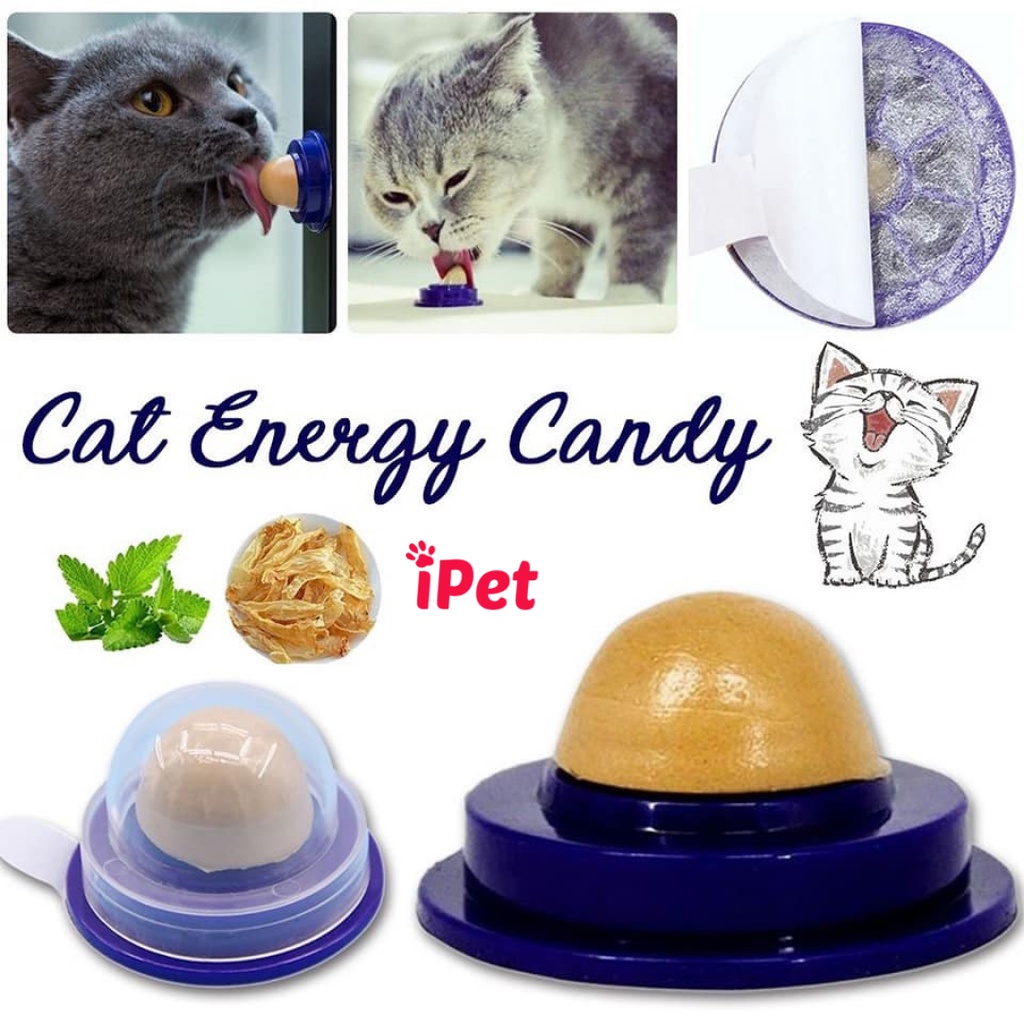 Kẹo Mút Catnip Dán Tường Tiện Lợi Cho Mèo Liếm - iPet Shop