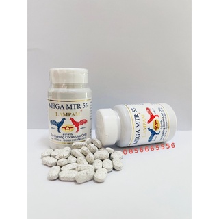 Mega mtr 55 - kích lực cho gà trước đá