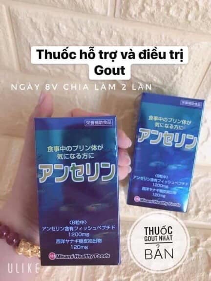 Vỏ hộp để đựng viên uống hỗ trợ bệnh GOUT - Anserine Minami