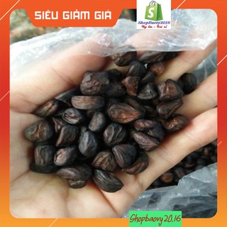 5 Hạt dổi nếp rừng
