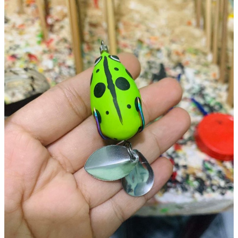 NHÁI HƠI SÓC CHUỘT