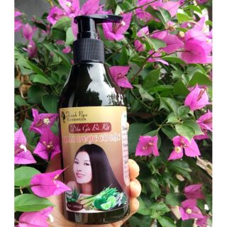 Dầu gội bồ kết thảo dược cô đặc 100% thiên nhiên