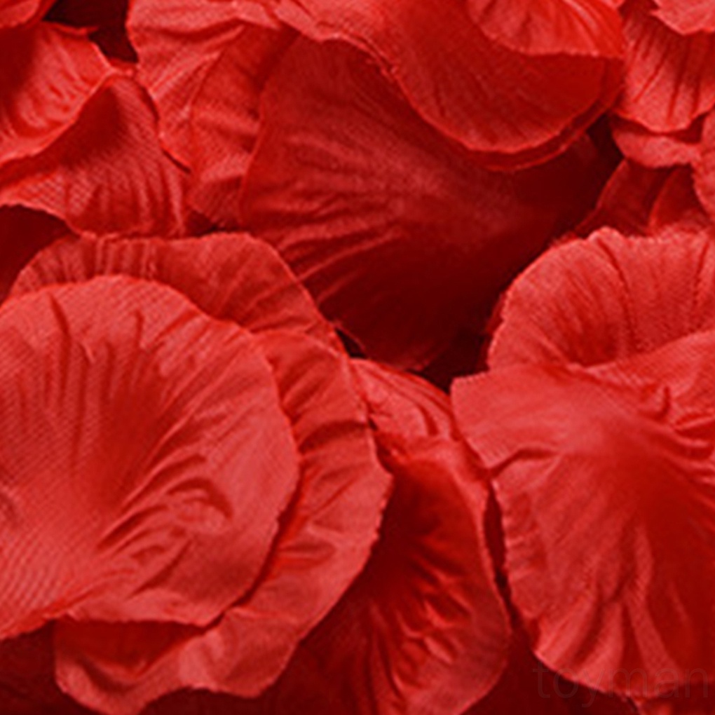 Set 100 Cánh Hoa Hồng Giả Trang Trí Tiệc Cưới