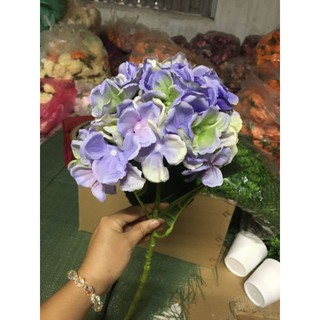 hoa cẩm tú cầu giả