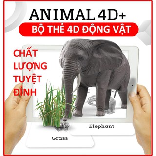 Bộ thẻ 4D, thẻ học thông minh động vật ANIMAL ươm mầm ước mơ trong tương lai - SHOP CU BIN